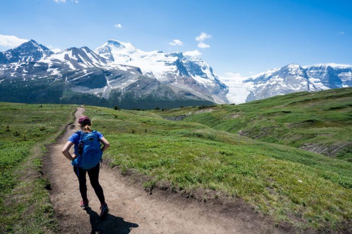 Popular Hiking Trails Near Me