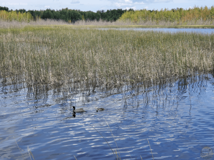Hiking Sites Near Me Your Outdoor Adventure Awaits