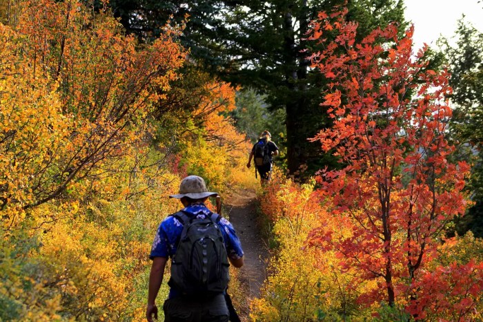 Beautiful hiking trails near me