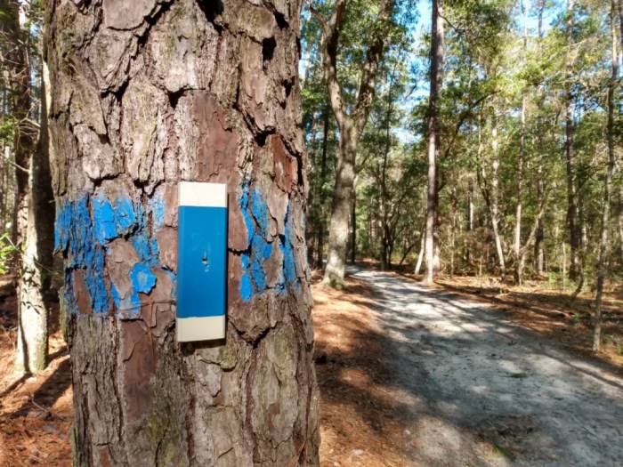 Good Trails Near Me Your Outdoor Adventure Awaits
