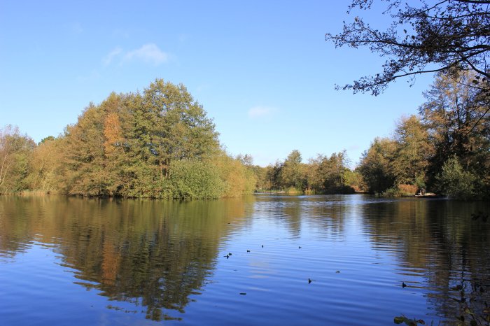 Parks to walk near me