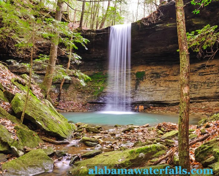 Nature walking trails near me