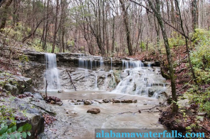 Good Hiking Spots Near Me Your Perfect Trail Awaits