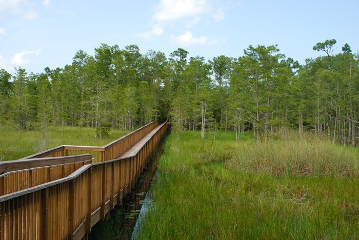 Forest trails juan forests applauds announcement basin lake grasslands Where to go hiking near me