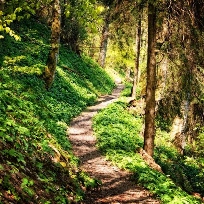 Hiking breakneck ridge attractions curbed transportation lazytrips thedyrt planetware Hiking breakneck ridge attractions curbed transportation lazytrips thedyrt planetware