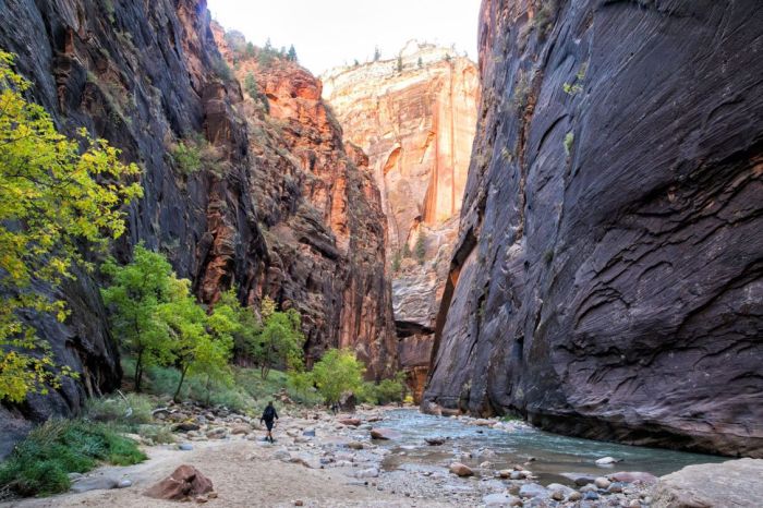 Nice Hikes Near Me Your Outdoor Adventure Awaits