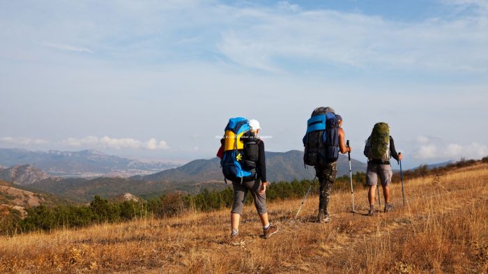 Hikes and trails near me
