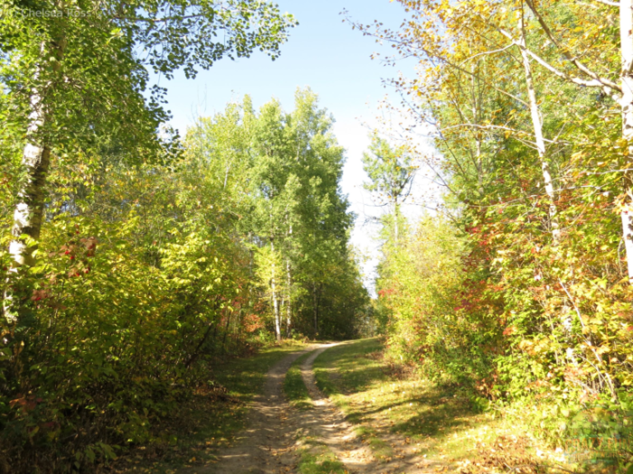 Cool hiking trails near me