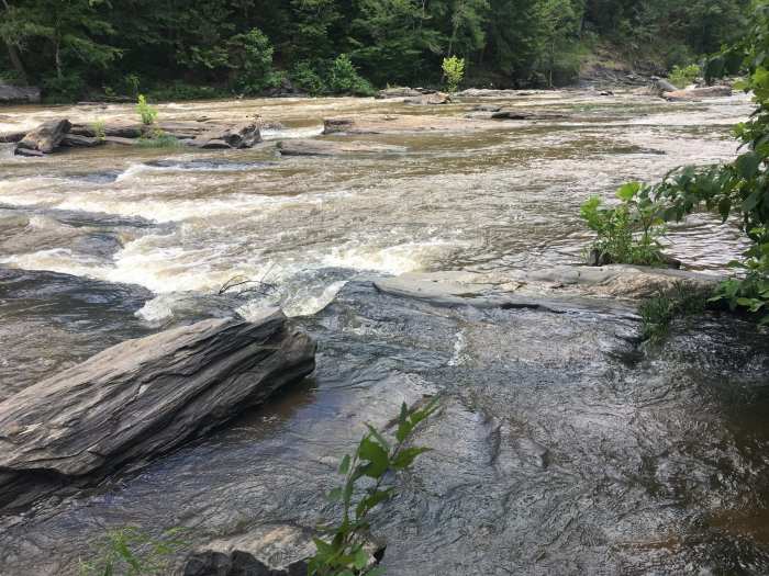 Fun hikes near me