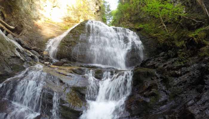 Hikes olympia hiking thurstontalk miles mclane thurston thrifty Good trails near me
