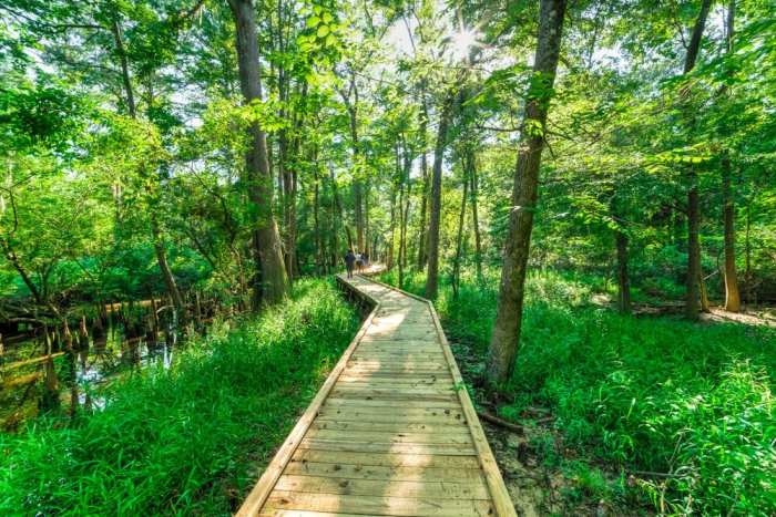 Nature Hiking Trails Near Me Your Guide