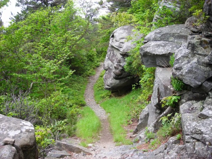Hiking sites near me