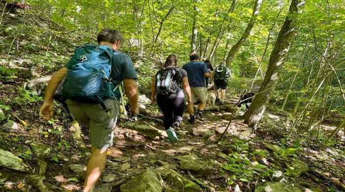 Easy hikes near me