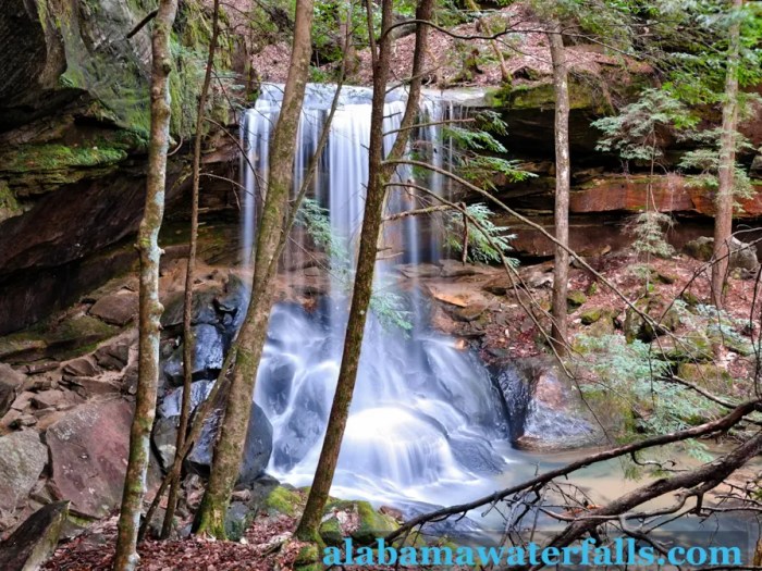 Fun hiking trails near me