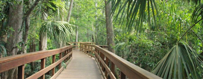 Best Hiking Spots Near Me Your Guide