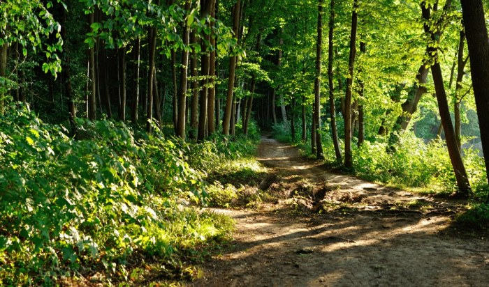 Nature hikes near me