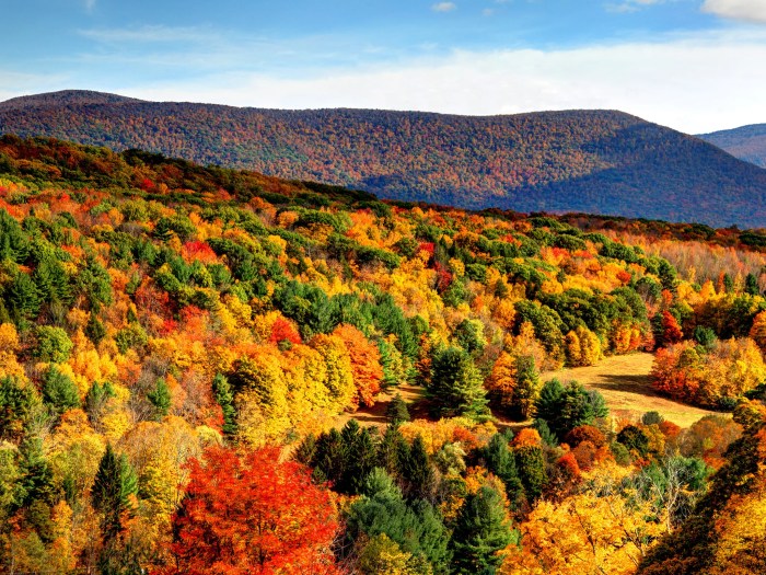 Beautiful Hiking Trails Near Me Your Outdoor Adventure Awaits