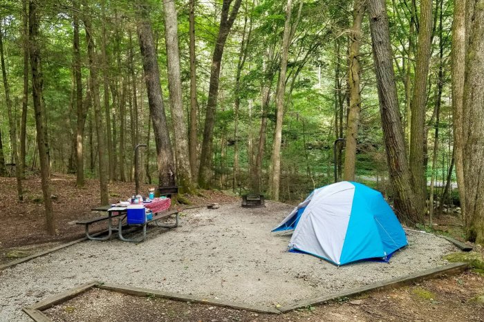 Parks near me with trails