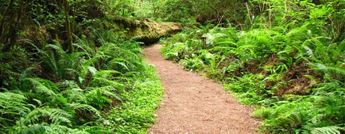 Near me hiking trails apps trail discovering them