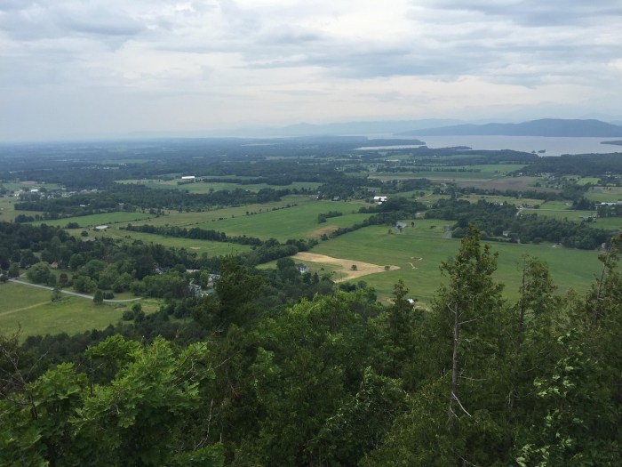 Hikes and trails near me