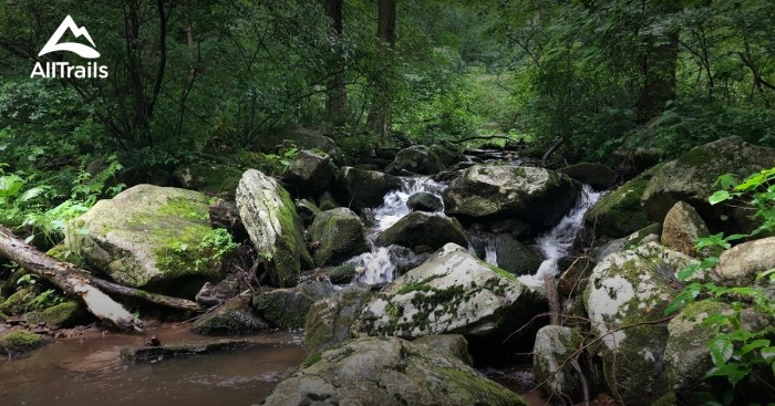Find hikes near me