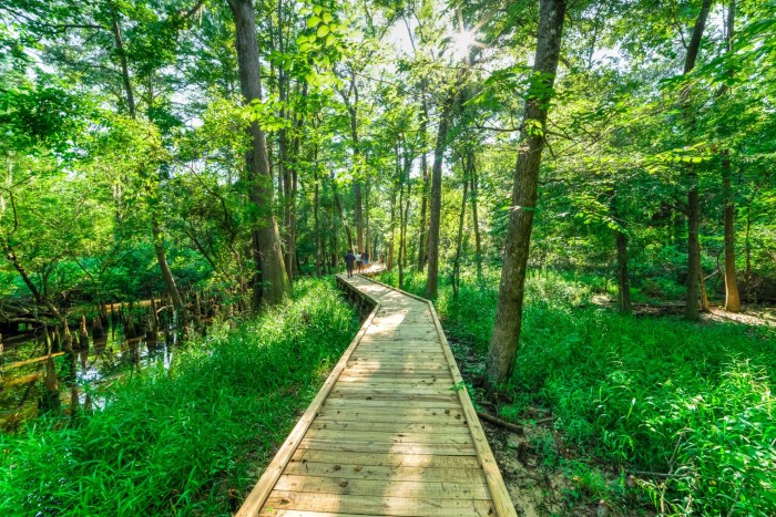 Long hiking trails near me