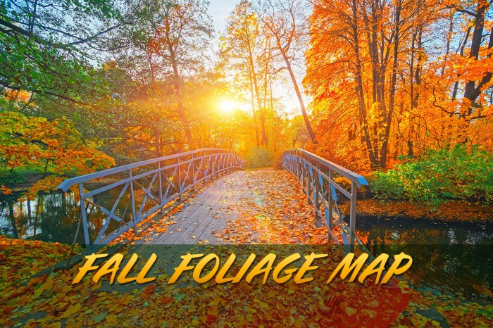 Beautiful hiking trails near me