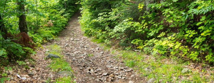 Trails tomales Trails tomales