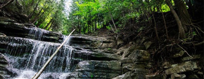 Places near me to hike