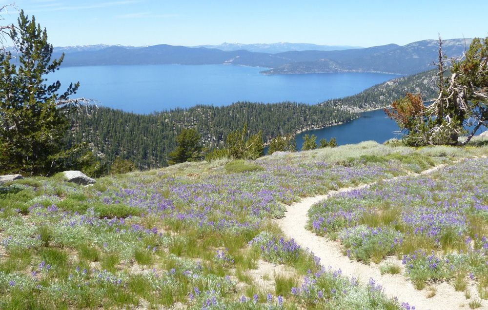 Find a trail near me