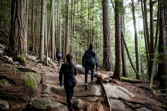 Information on hike