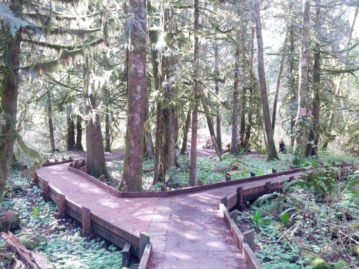 Pretty hiking trails near me