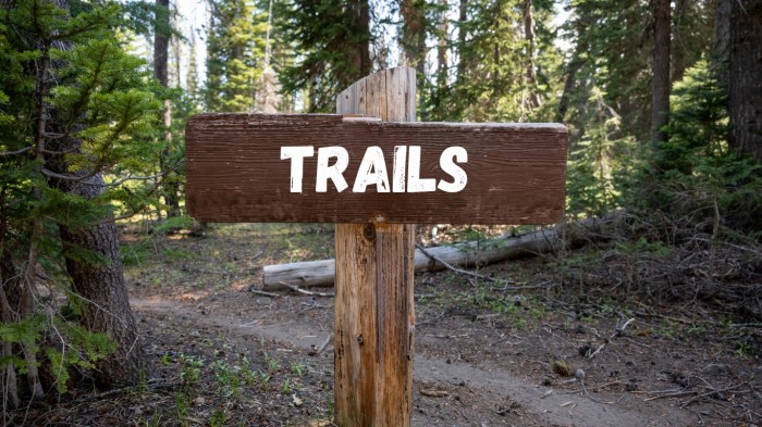 Trails Around Me Your Local Hiking Guide