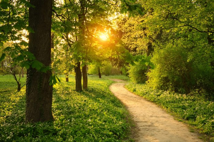 Nature walk near Mex | Switzerland Tourism Nature walks near me