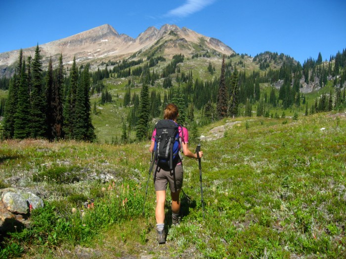 Information of hike