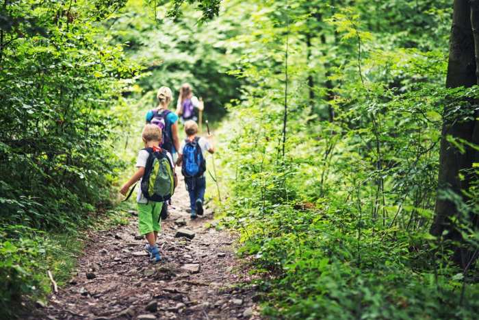 A Beautiful Nature Walk Near Traditions of Braselton Nature walks near me