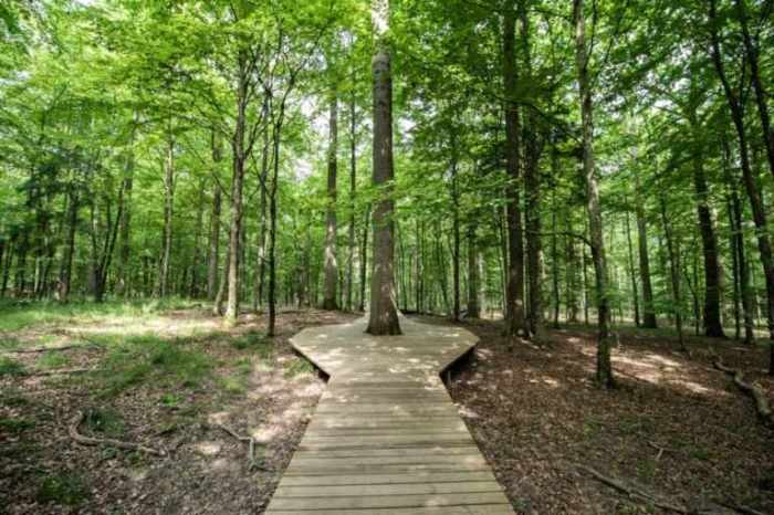 Creek trails near me
