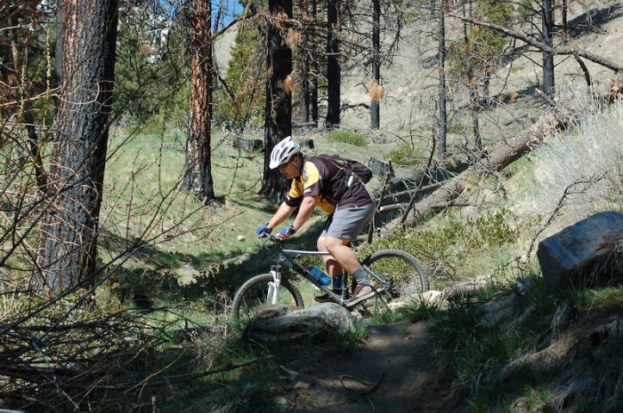 Trail Trail