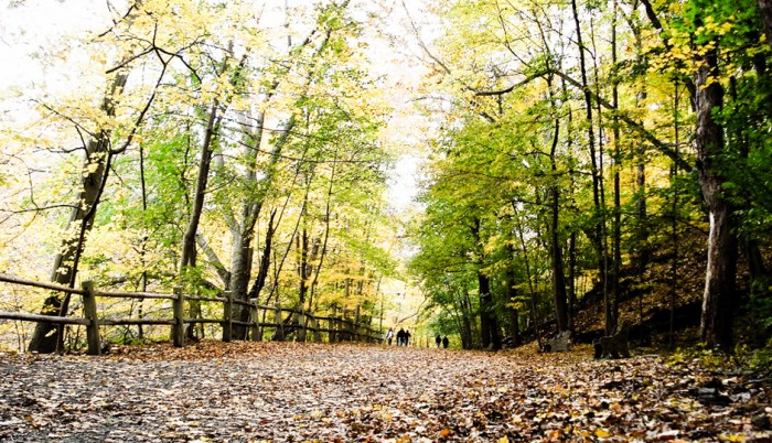 Find walking trails near me